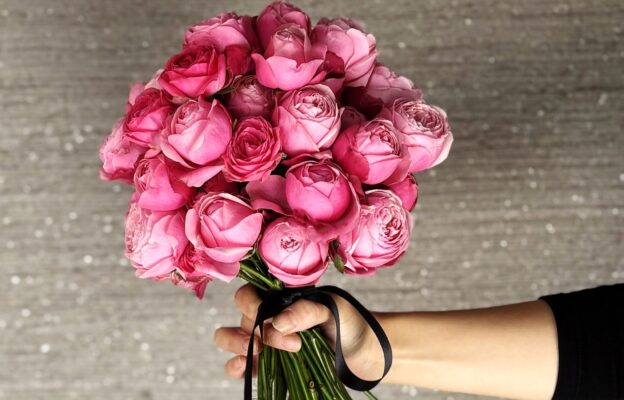 君は薔薇より美しい